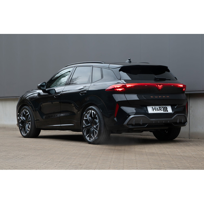 H&R Verlagingsveren  Cupra Terramar (KP1) 1.5 eHybrid PHEV incl. adaptief onderstel 2024- VA30/AA40mm