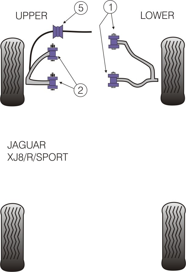 Jaguar (Daimler) XJ8 - R - Sport  Front Lower Wishbone Bush - Po