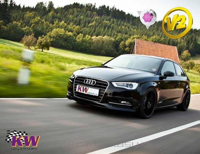 Schroefset KW V2 inox Mini Mini Cabrio R52 (MINI) Cooper S 1.6 0