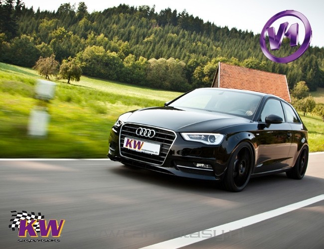 Schroefset KW V1 inox BMW Z3 Cabrio R/C 1.8 10/1995-