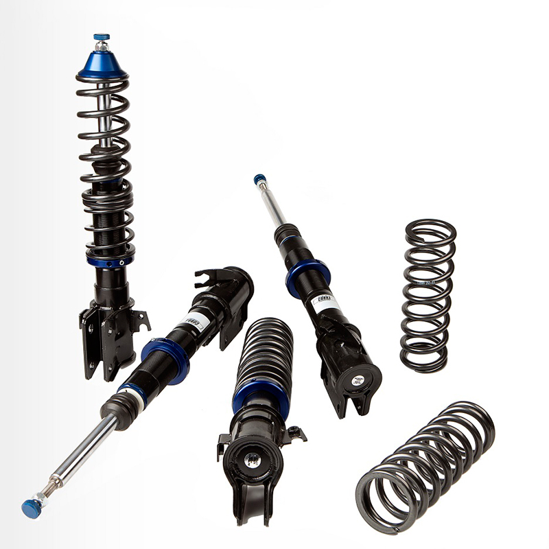 Cobra EVO-III Schroefset  Mazda RX-8 2003 40-80/40-80mm